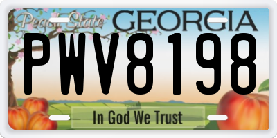 GA license plate PWV8198