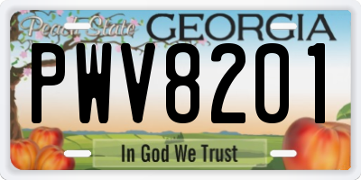 GA license plate PWV8201