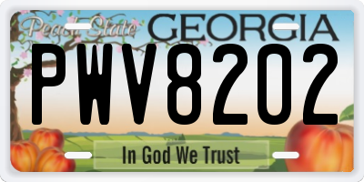 GA license plate PWV8202