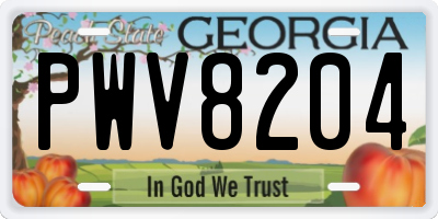 GA license plate PWV8204