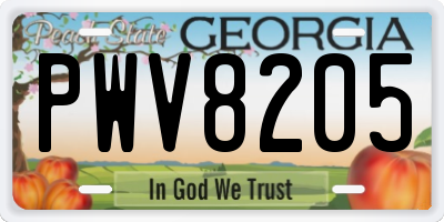 GA license plate PWV8205