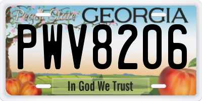 GA license plate PWV8206