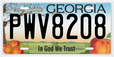 GA license plate PWV8208