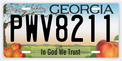 GA license plate PWV8211