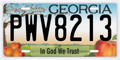 GA license plate PWV8213