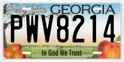 GA license plate PWV8214