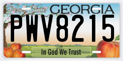 GA license plate PWV8215