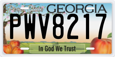 GA license plate PWV8217