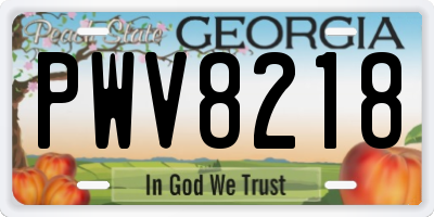 GA license plate PWV8218