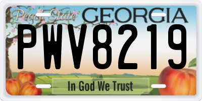 GA license plate PWV8219
