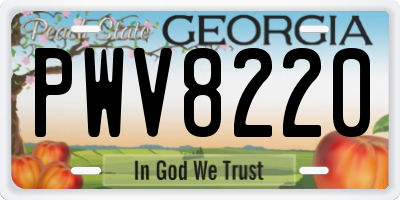 GA license plate PWV8220