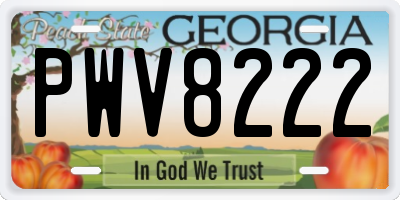 GA license plate PWV8222