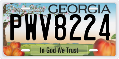 GA license plate PWV8224