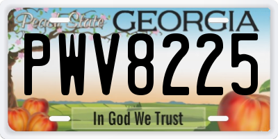 GA license plate PWV8225