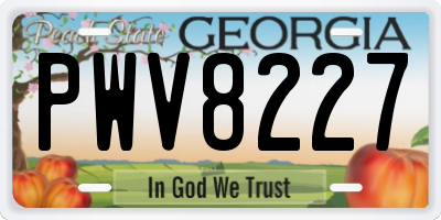 GA license plate PWV8227
