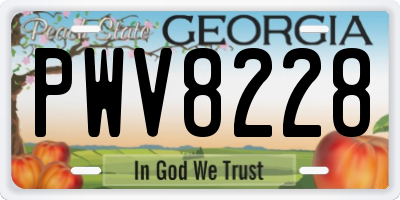 GA license plate PWV8228