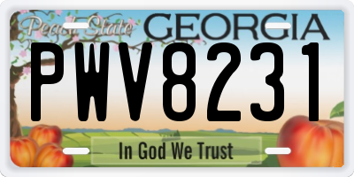 GA license plate PWV8231