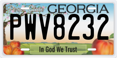 GA license plate PWV8232