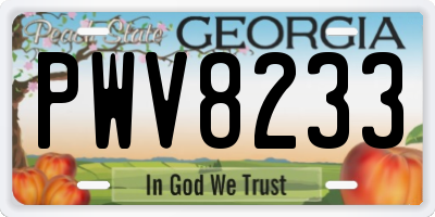 GA license plate PWV8233