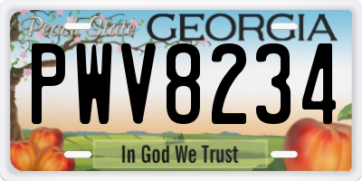 GA license plate PWV8234
