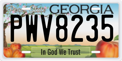 GA license plate PWV8235