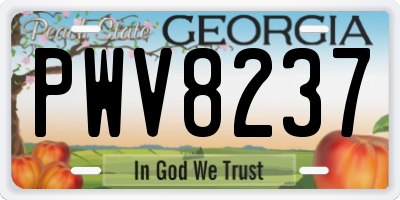 GA license plate PWV8237