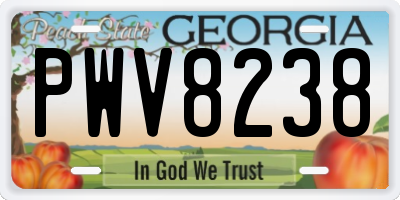 GA license plate PWV8238