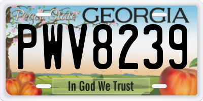 GA license plate PWV8239