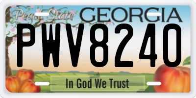 GA license plate PWV8240