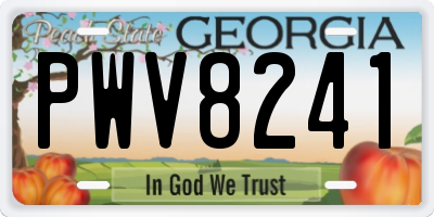 GA license plate PWV8241
