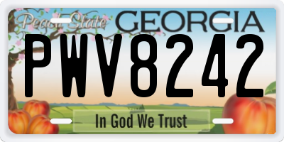 GA license plate PWV8242
