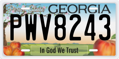 GA license plate PWV8243