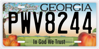 GA license plate PWV8244