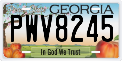 GA license plate PWV8245
