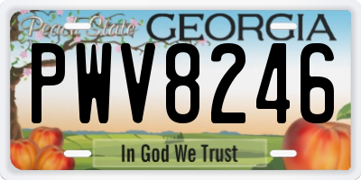 GA license plate PWV8246