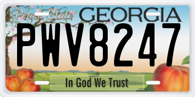 GA license plate PWV8247