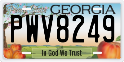 GA license plate PWV8249