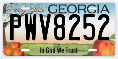 GA license plate PWV8252