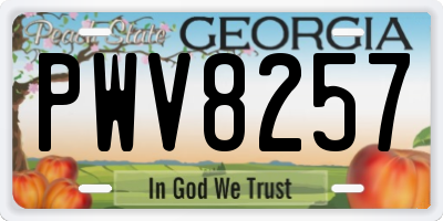 GA license plate PWV8257