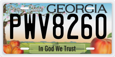 GA license plate PWV8260