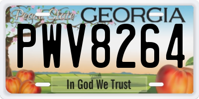 GA license plate PWV8264