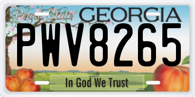 GA license plate PWV8265