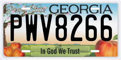 GA license plate PWV8266