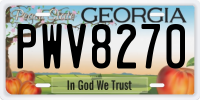 GA license plate PWV8270