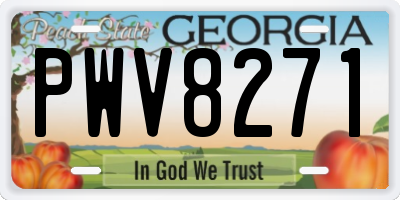 GA license plate PWV8271