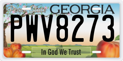 GA license plate PWV8273