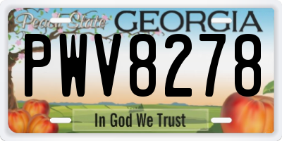 GA license plate PWV8278