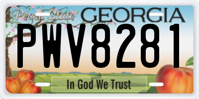 GA license plate PWV8281