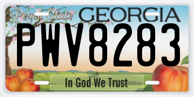 GA license plate PWV8283