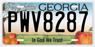 GA license plate PWV8287
